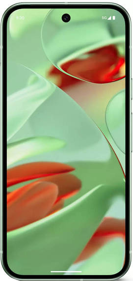 Google Pixel 9