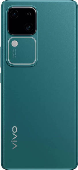 vivo V30
