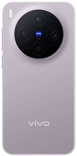 vivo X300