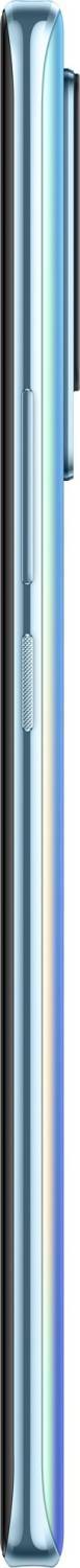 vivo X60